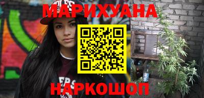 сатива Краснодар