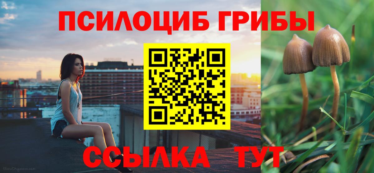 Псилоцибиновые грибы мухоморы Шадринск
